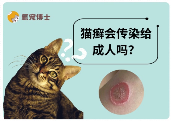 猫癣会传染给成人吗？