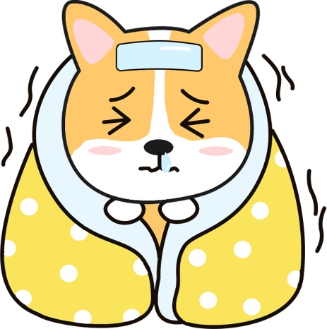 狗狗生产后要注意什么