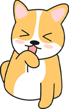 狗狗舔爪子