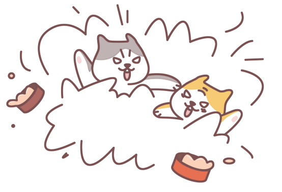 猫咪打架受伤了用什么消炎药？