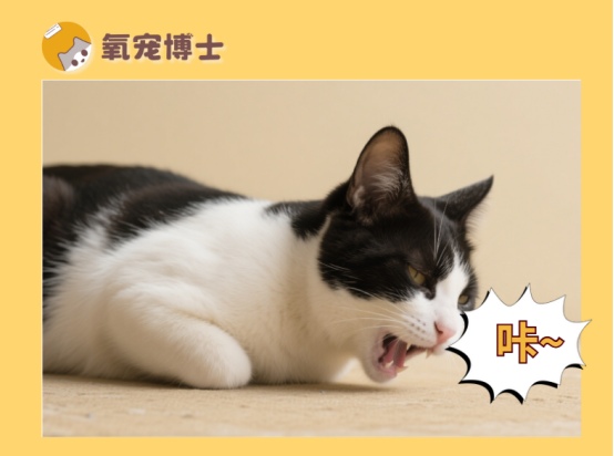 猫咪卡喉咙声音原因解析：咳嗽干呕逆向喷嚏区别诊断