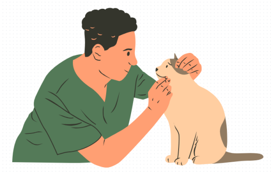 猫咪感冒的症状