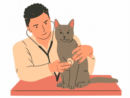 猫咪一抽一抽的咳嗽吃什么药?