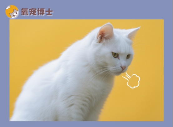 猫咪突然一抽一抽的像咳嗽