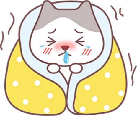 猫咪突然咳嗽