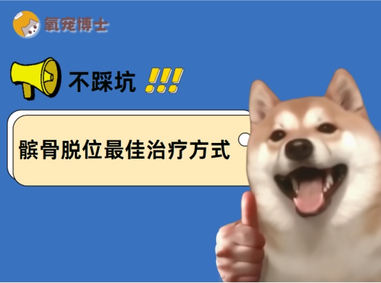 狗狗髌骨脱位治疗方法详解：手术与保守治疗选择指南
