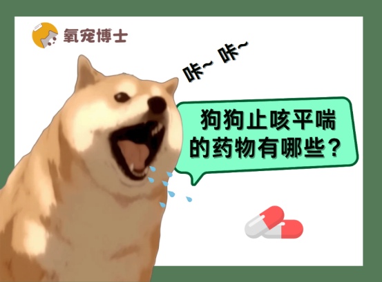 狗狗止咳平喘的药物有哪些?