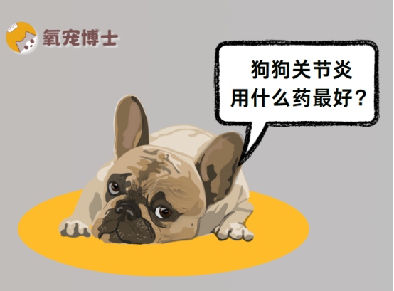 狗狗关节炎用什么药最好?