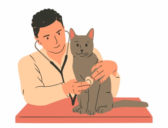猫感冒吃什么药