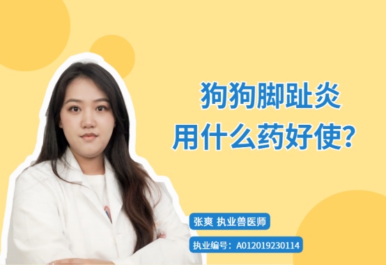 狗狗脚趾炎用什么药好使?