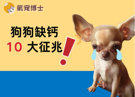 狗狗缺钙的10个征兆