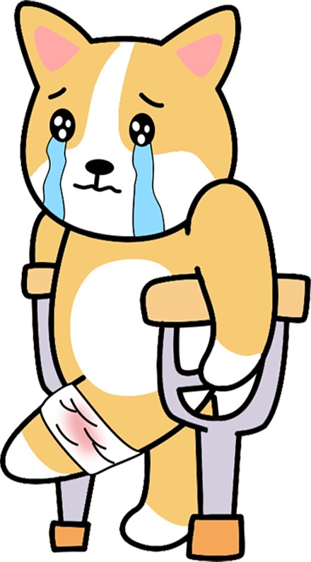 狗狗缺钙