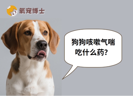 狗狗咳嗽气喘吃什么药?