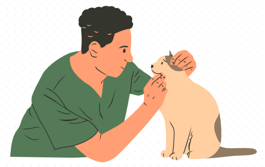 猫癣的治疗方法