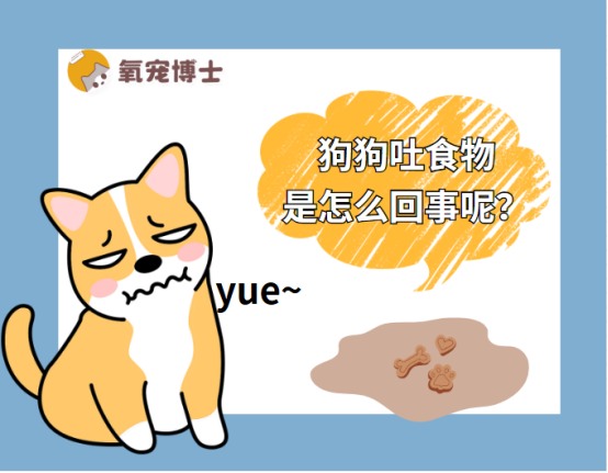 狗狗吐食物是怎么回事呢?