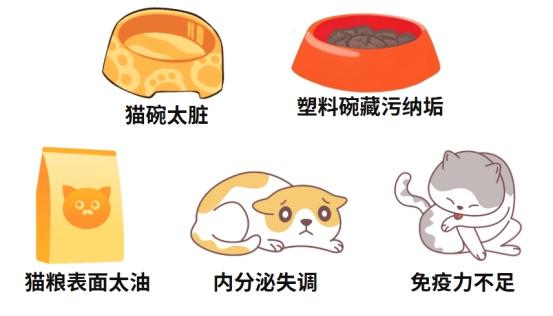 猫咪黑下巴病因