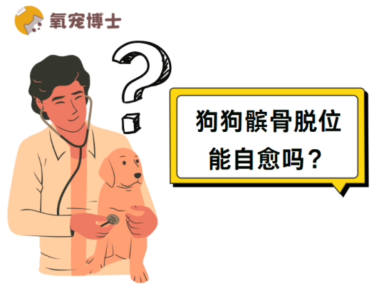 狗狗髌骨脱位能自愈吗