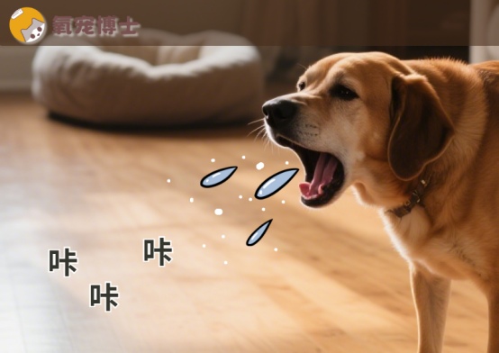 狗狗咳嗽原因分析及安全用药指南