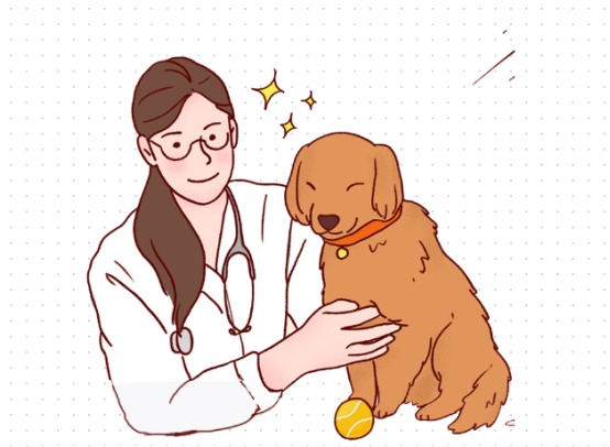 母狗产后坐月子吃什么最补?