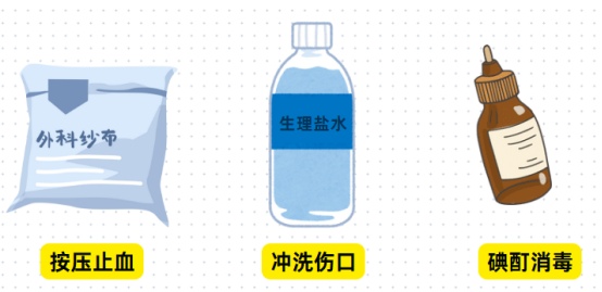 猫受伤了怎么处理