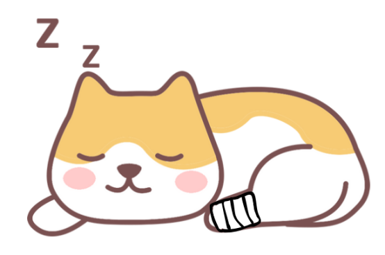 猫受伤了怎么办?