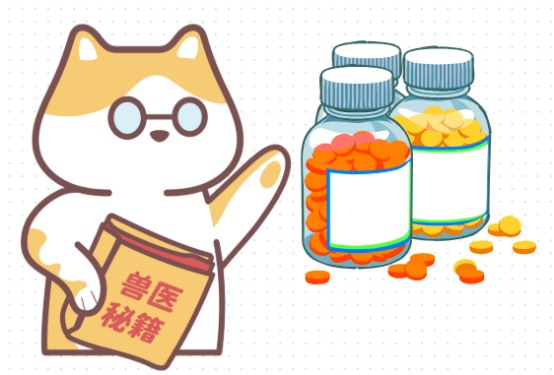 猫癣用什么药?