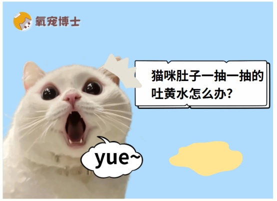 猫咪肚子抽动吐黄水怎么回事 常见病因及急救处理方法