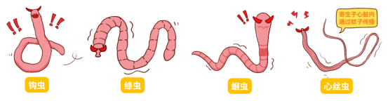 猫咪吐黄水怎么回事?