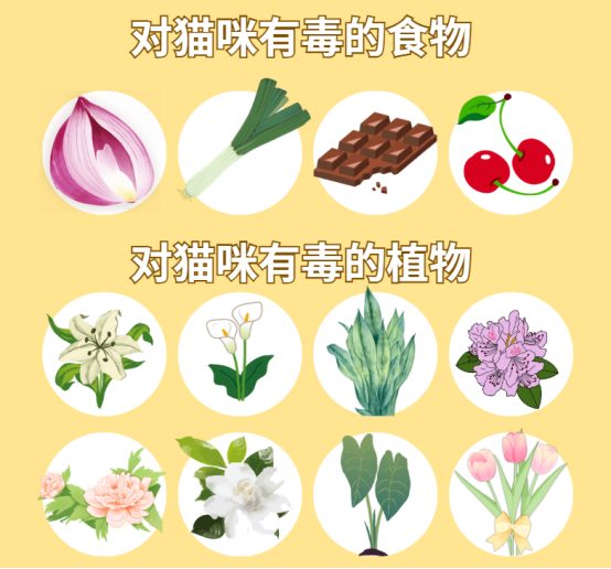猫咪吐黄水