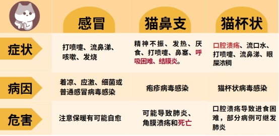 猫咪感冒症状
