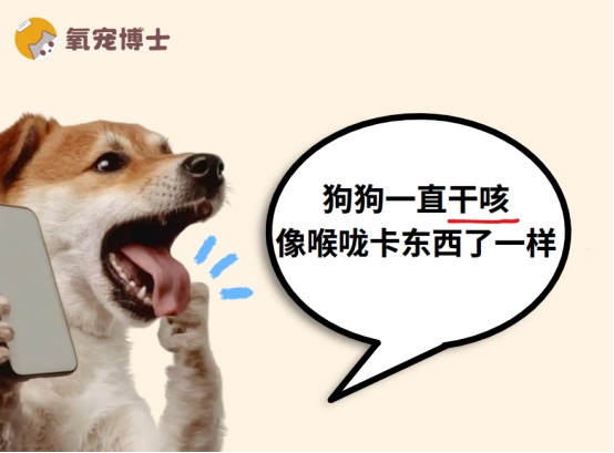 狗狗干咳像卡异物？5大原因及应对方法详解