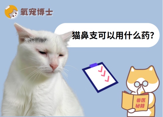 猫鼻支用药