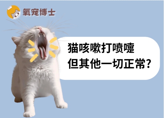 猫咳嗽打喷嚏但一切正常