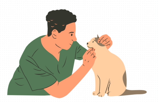 猫咳嗽打喷嚏吃什么药?