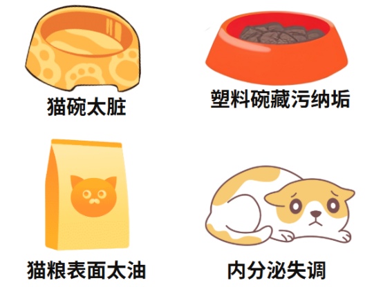 小猫黑下巴怎么来的?