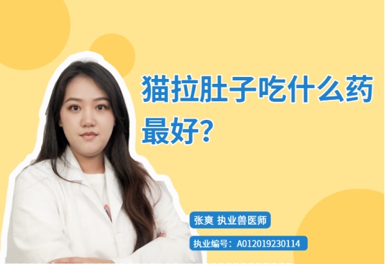 猫拉肚子吃什么药最好？