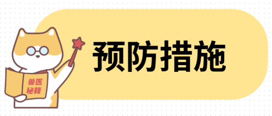 猫咪黑下巴怎么治?