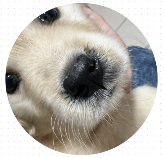 2个月狗狗感冒吃什么药?