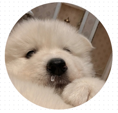 狗狗流鼻涕