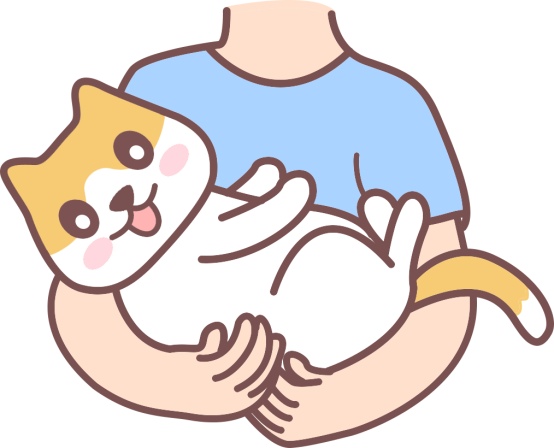 猫咪感冒