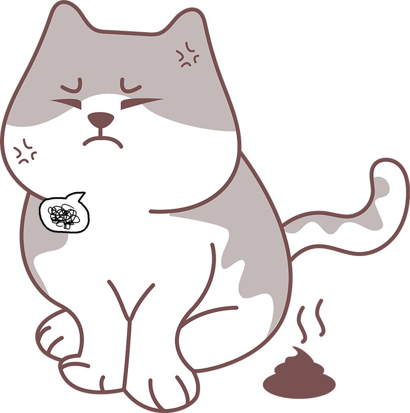 猫咪肚子里有毛球的症状