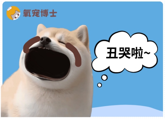 狗狗泪痕怎么去除根治方法，告别眼部泪痕恢复颜值