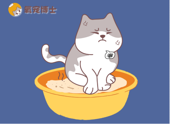 猫尿闭急救指南：识别症状与紧急治疗方案