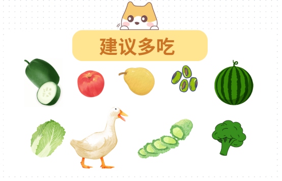 狗狗上火吃什么降火