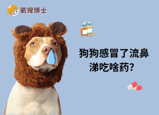 狗狗感冒了流鼻涕吃啥药?