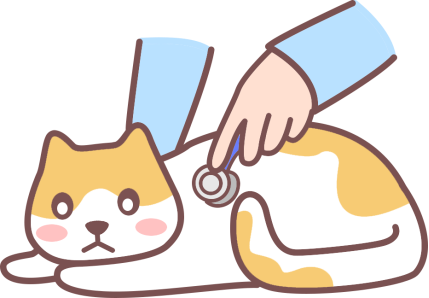 猫咪拉不出尿吃什么药