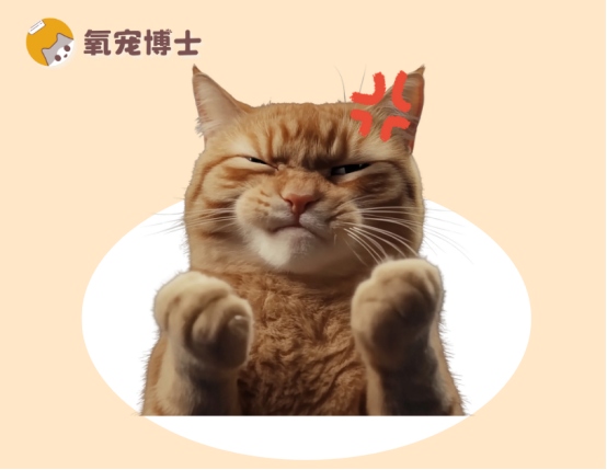 猫咪拉不出尿，一直蹲着怎么办？