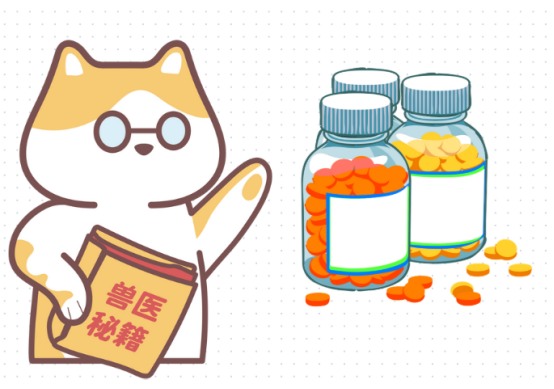 猫尿血怎么办?