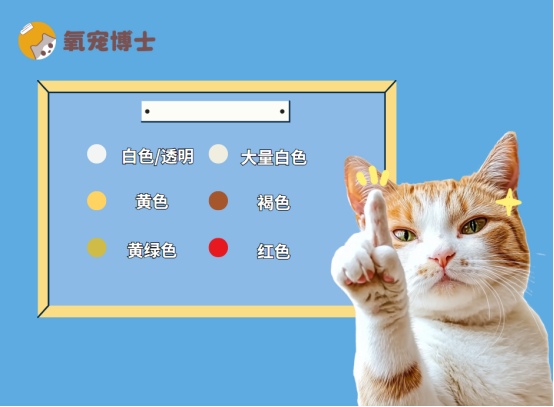 猫咪眼睛分泌物颜色揭示疾病真相，不同症状对应处理方案