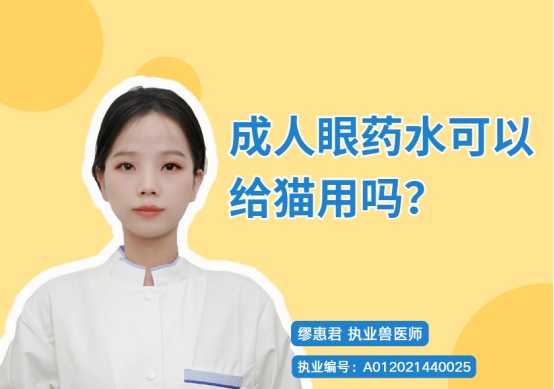 猫咪眼睛发炎不能用人用眼药水，这些成分对猫有毒害